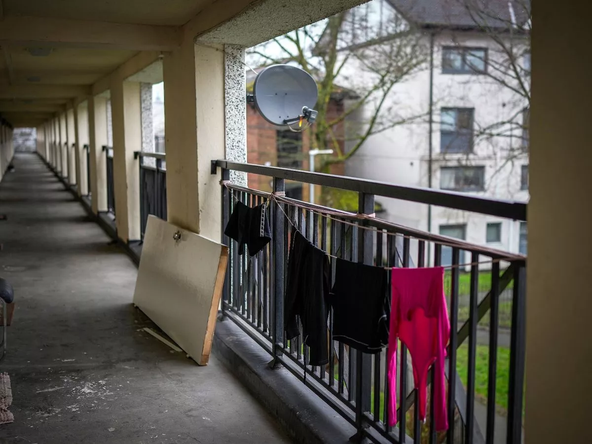 What Awaab's Law means for you