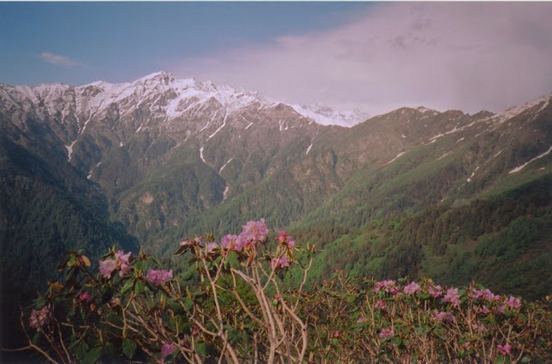 Chandrakhani and Malana: A majestic pass and a mysterious village