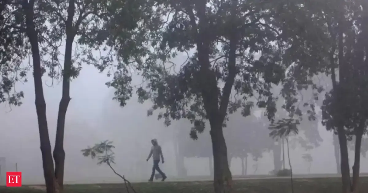 Cyclone warning: IMD issues red alert, Andhra Pradesh CM directs disaster preparedness