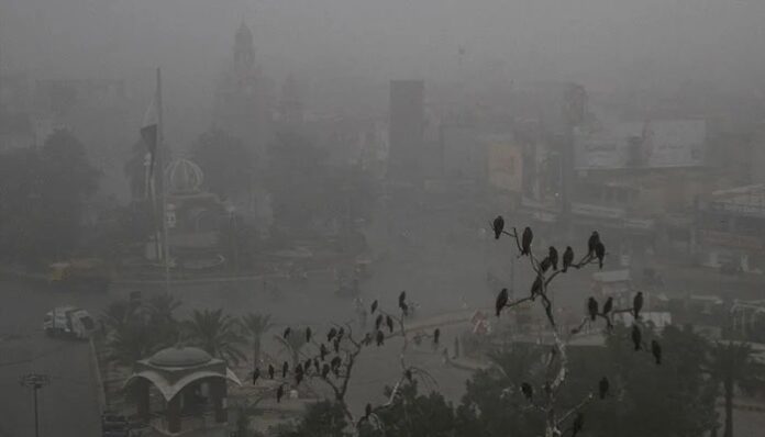 Punjab revises school timings as smog crisis deepens