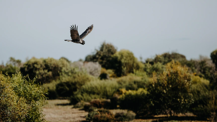 Inside an ambitious goal to connect two renowned national parks