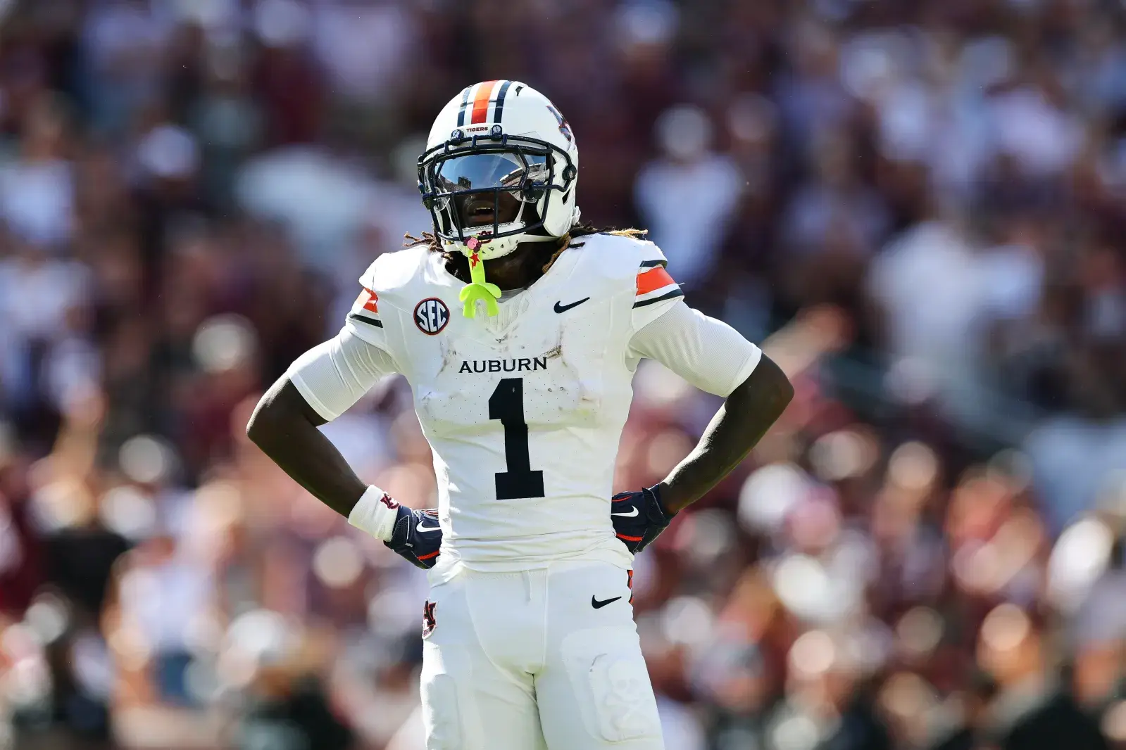 How to Watch Auburn vs Arkansas: Live Stream NCAA College Football, TV Channel