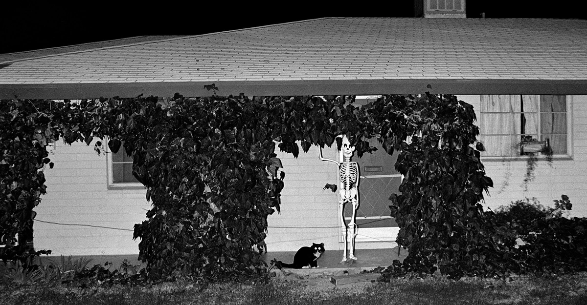 The Perks of Morbid Curiosity