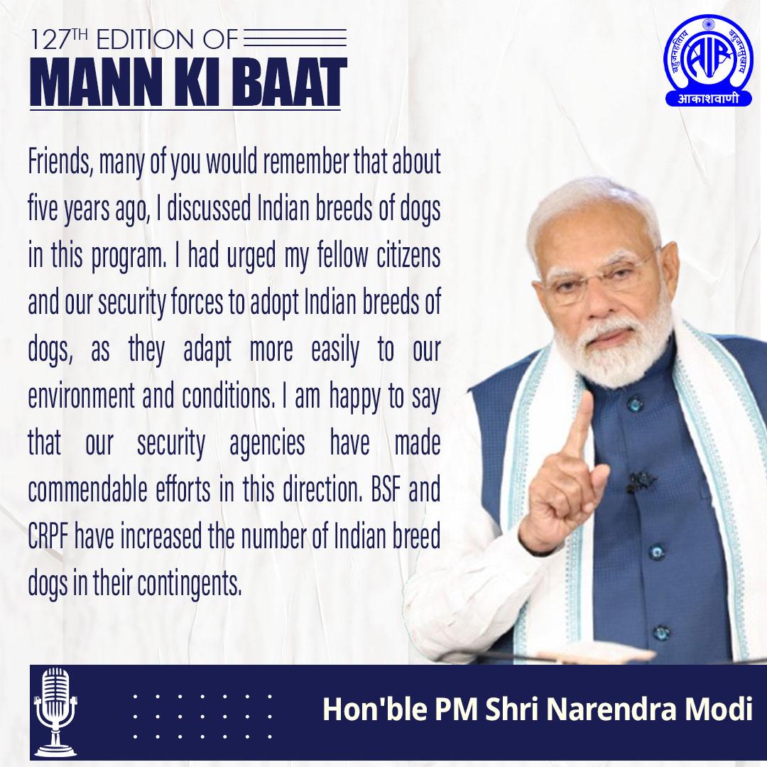'Mann Ki Baat': PM Modi hails BSF, CRPF for increasing Indian breed dogs in their contingents