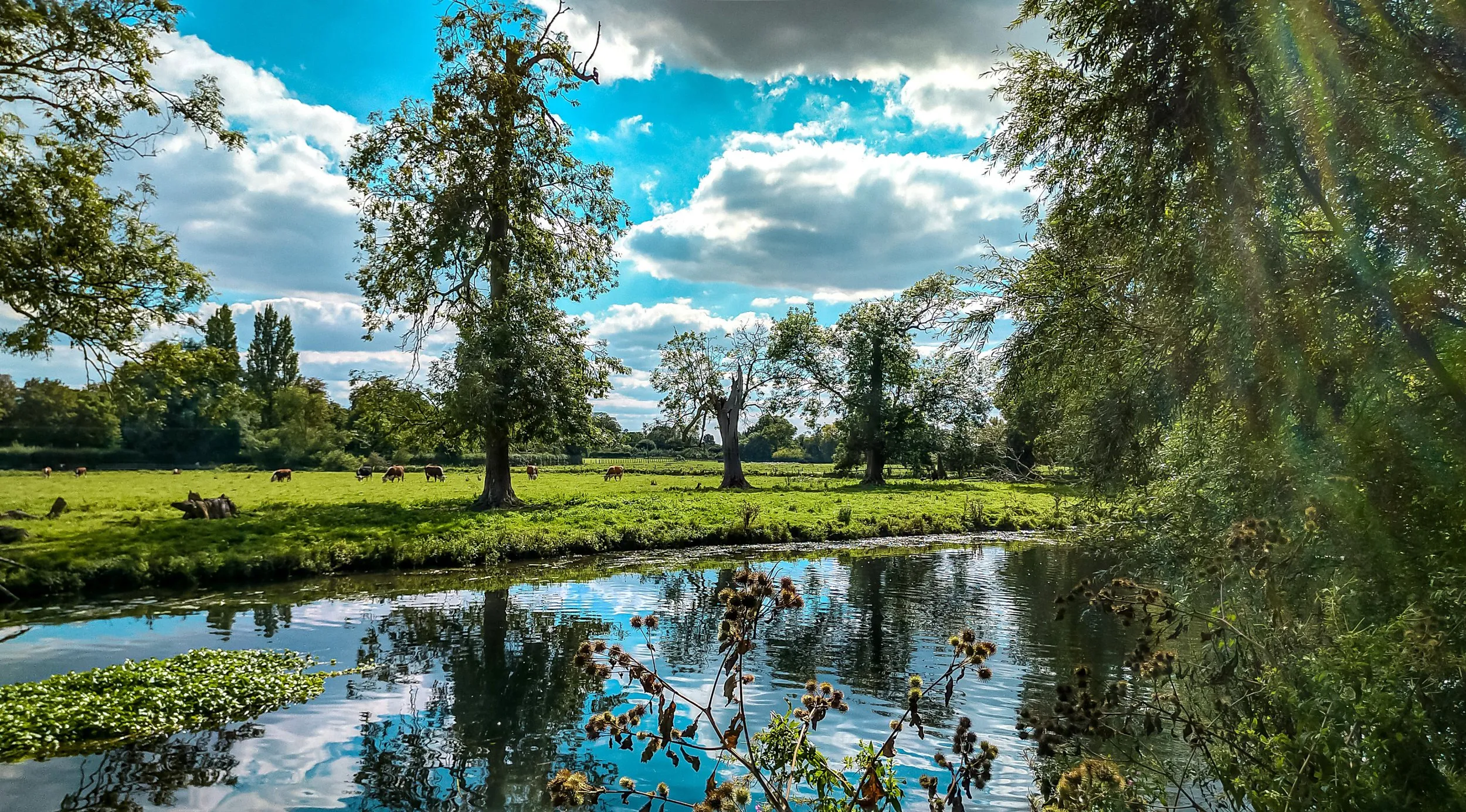 Village ‘getting a serious glow-up’ named one of the best places to live in the UK