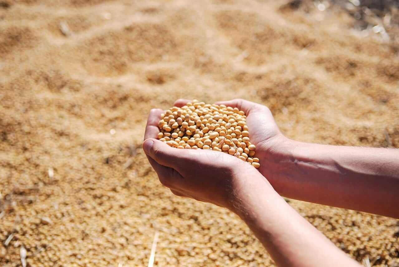 Upcoming U.S.-China Talks Create 1 Bullish Soybean Trade Here