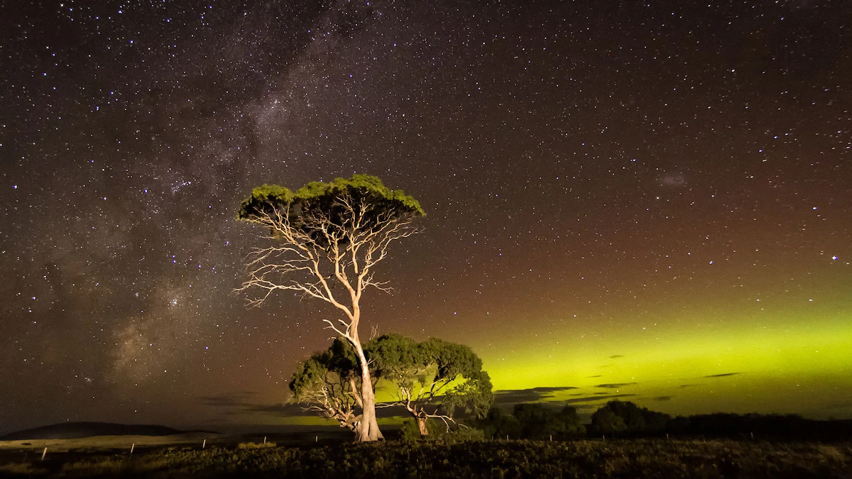 In winter, Tasmania channels a surprisingly Nordic vibe