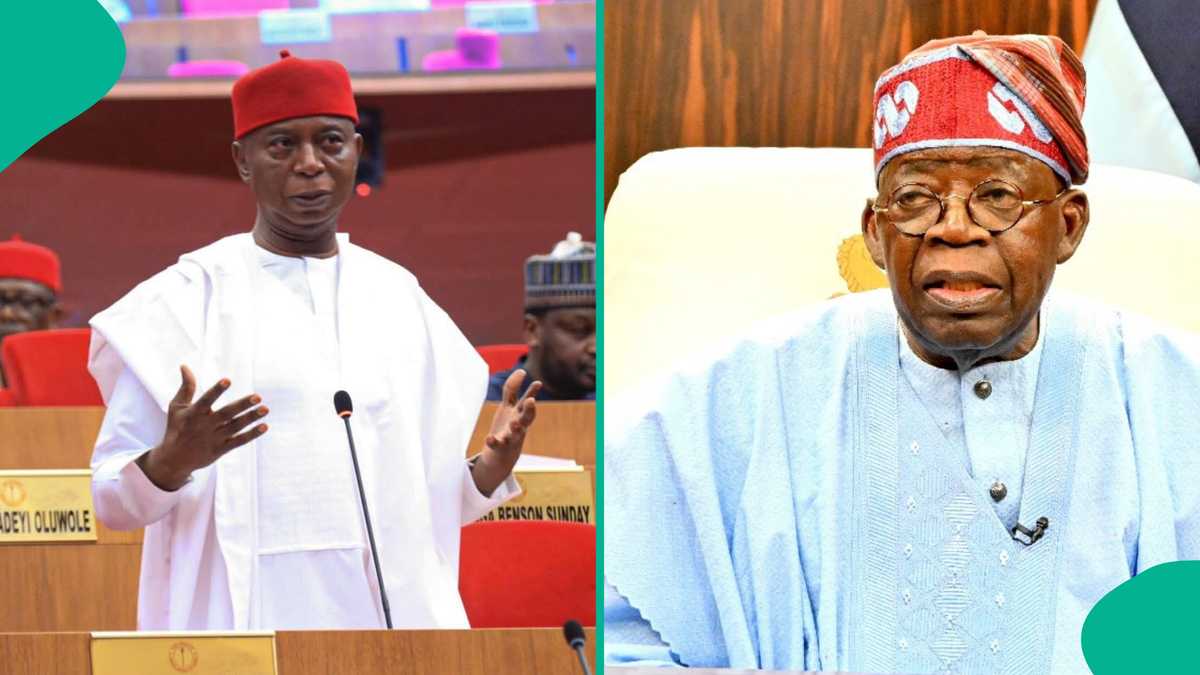 Senator Ned Nwoko breaks silence on creation of new state in South East, sends message to Tinubu