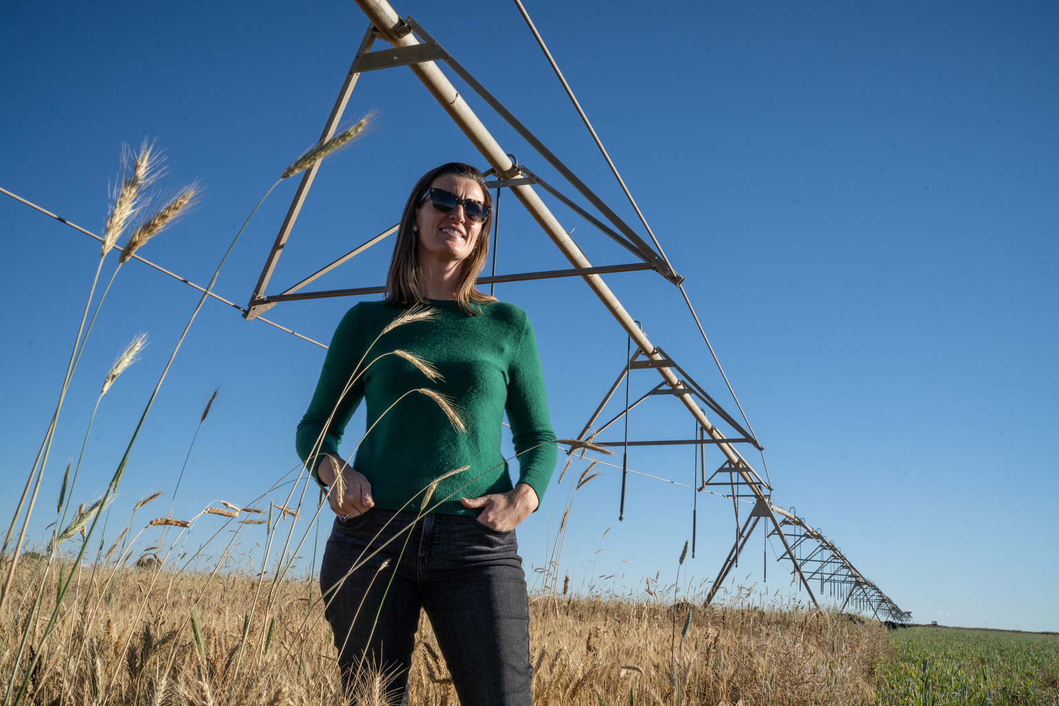 America’s Rye Whiskey Resurgence Could Help the Climate, but Not by Itself