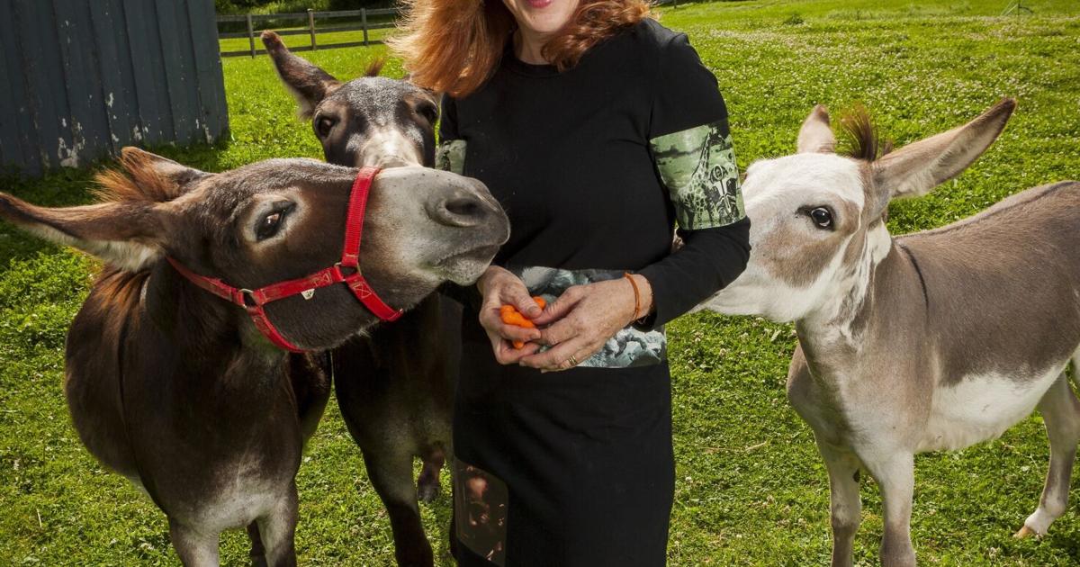 Acclaimed author Susan Orlean on curiosity, getting intimate and the lure of Hollywood