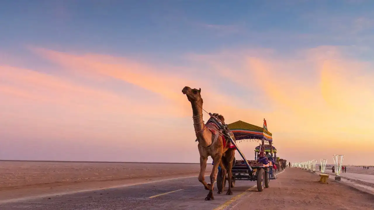 Rann Utsav 2025: From Bhuj To Dholavira, 5 Places Near Rann Of Kutch Your Kids Will Love