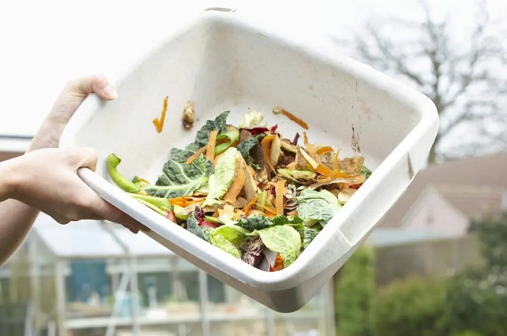 7% of restaurant revenue lost to food waste in North Okanagan
