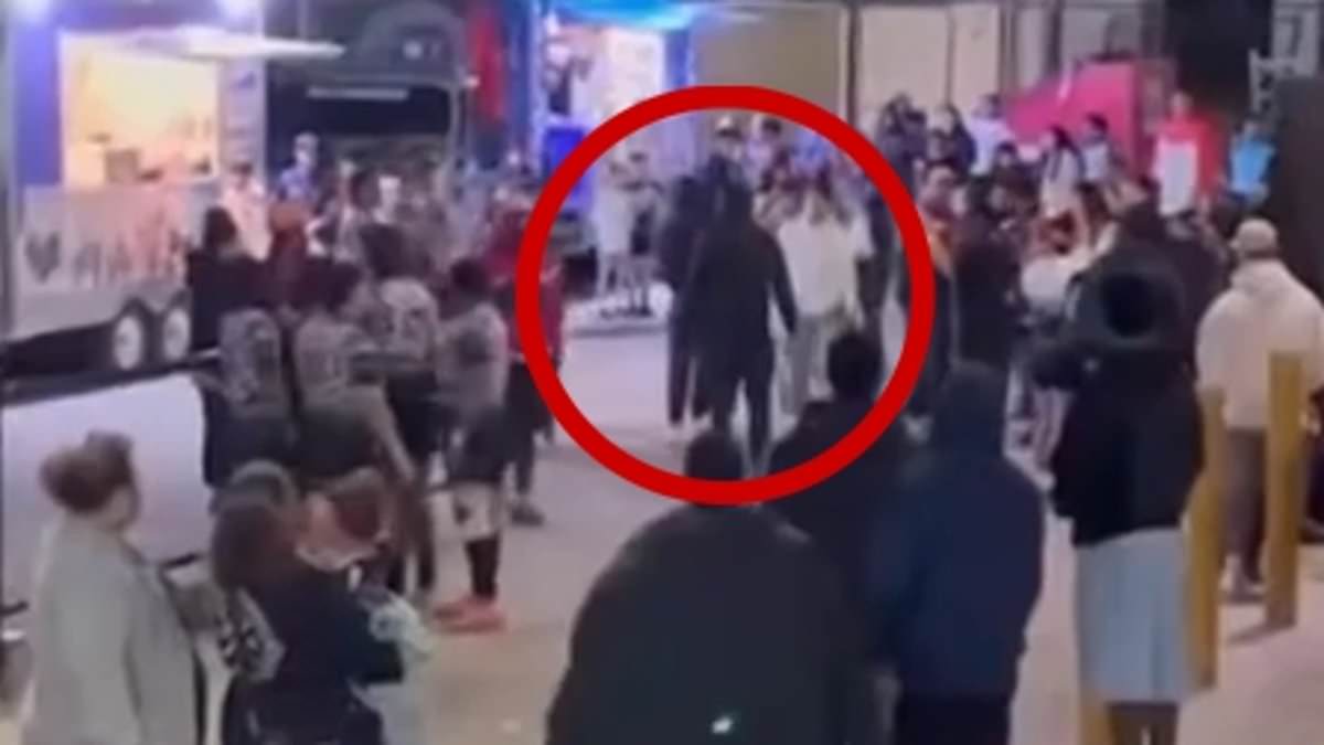Terrifying moment machete-wielding thugs brazenly run through crowd at NRL's Harmony Cup in Broadmeadows, Melbourne - as 19-year-old suffers serious stab wounds in violent brawl