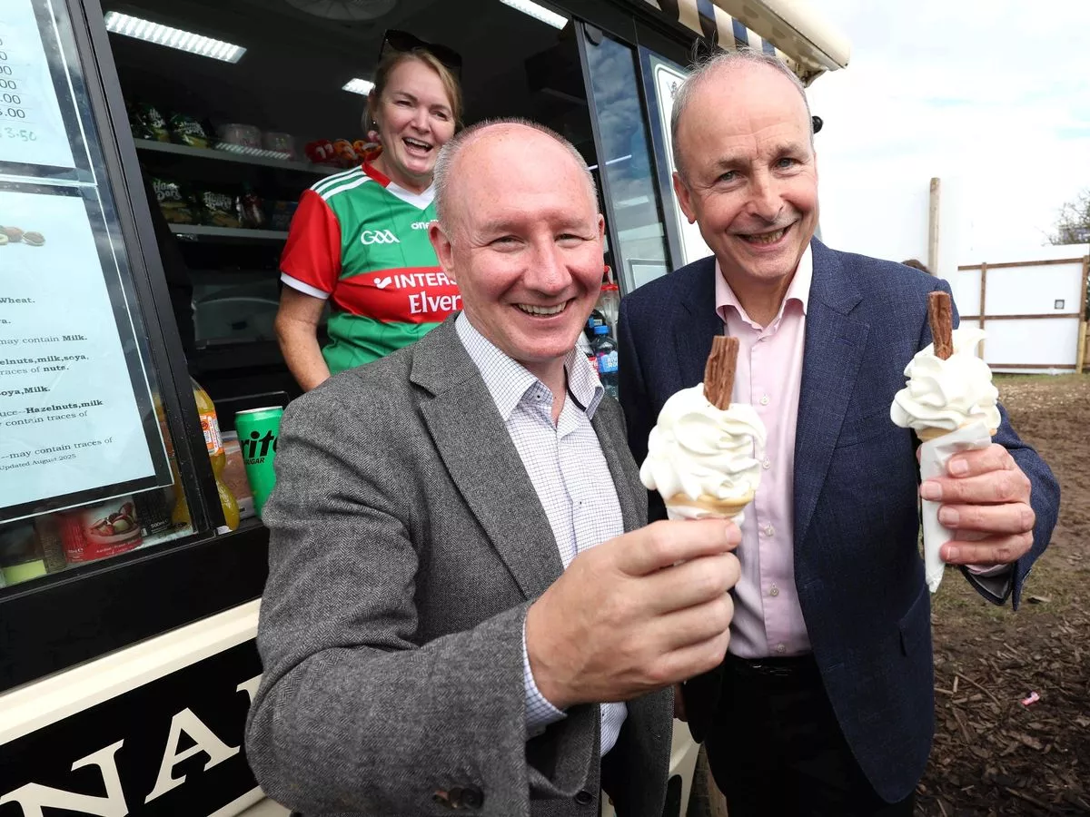 As the country has a new president Fianna Fáil needs a new leader, veteran TD John McGuinness claimed