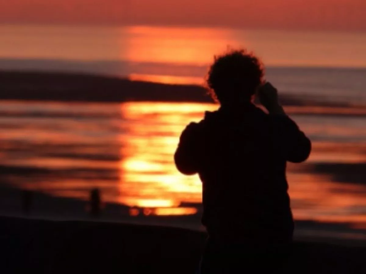 Midland council blames scorching summer after missing garden waste subscription target