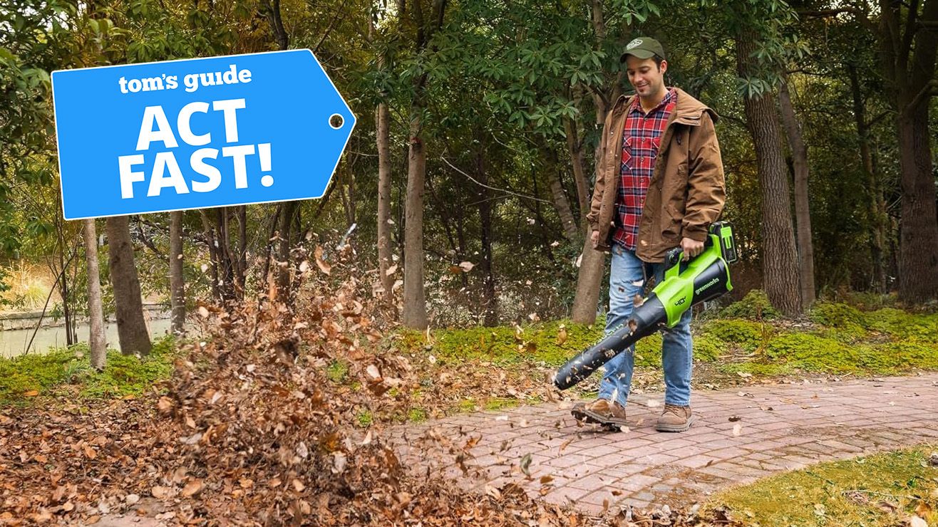 Don't wait for Black Friday - clear your yard now with my top 3 leaf blower deals from $119
