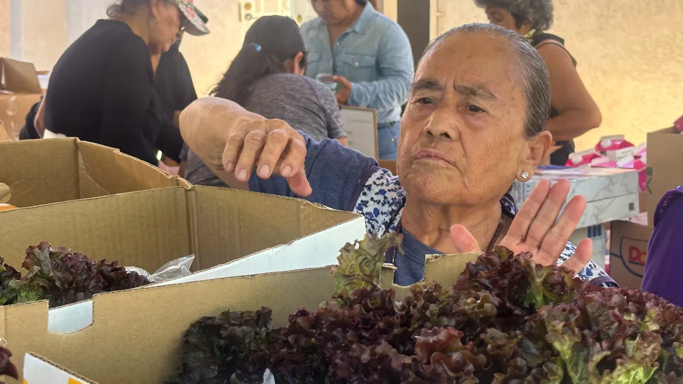 Immigration raids paralyze key California farm region as workers stay home