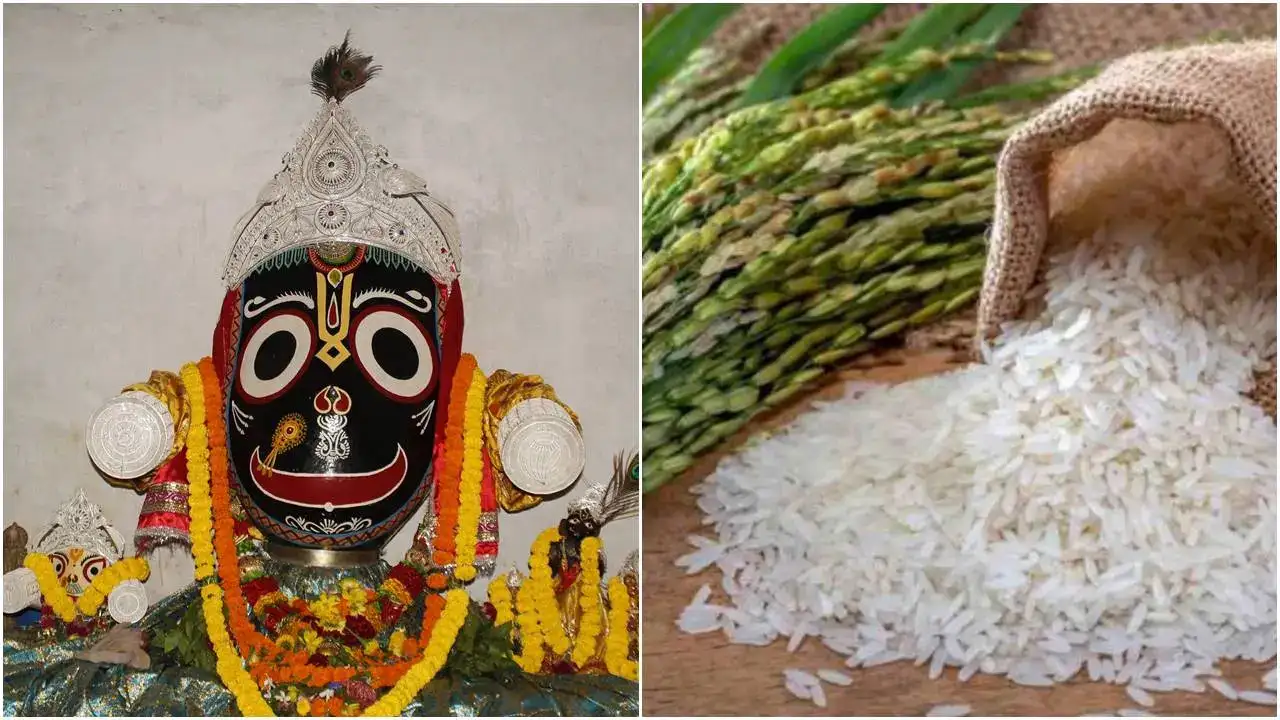 Explained: Why Puri’s Jagannath Temple Is Switching To Organic Rice For Bhog And Mahaprasad From 2026