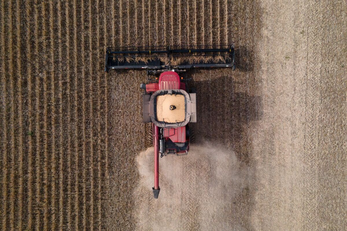 Soybeans Edge Higher Ahead of Key US-China Trade Summit