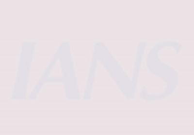 Cultivating cucumber, capsicum and melon in ‘polyhouse’ yields profit up to Rs 14 lakh in Punjab