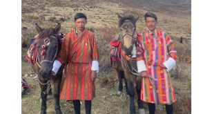 EU warns ethanol in biocides, including hand sanitizers, could increase cancer risk