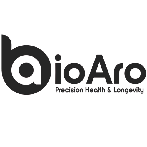 Présentation du tout premier grand modèle de langage