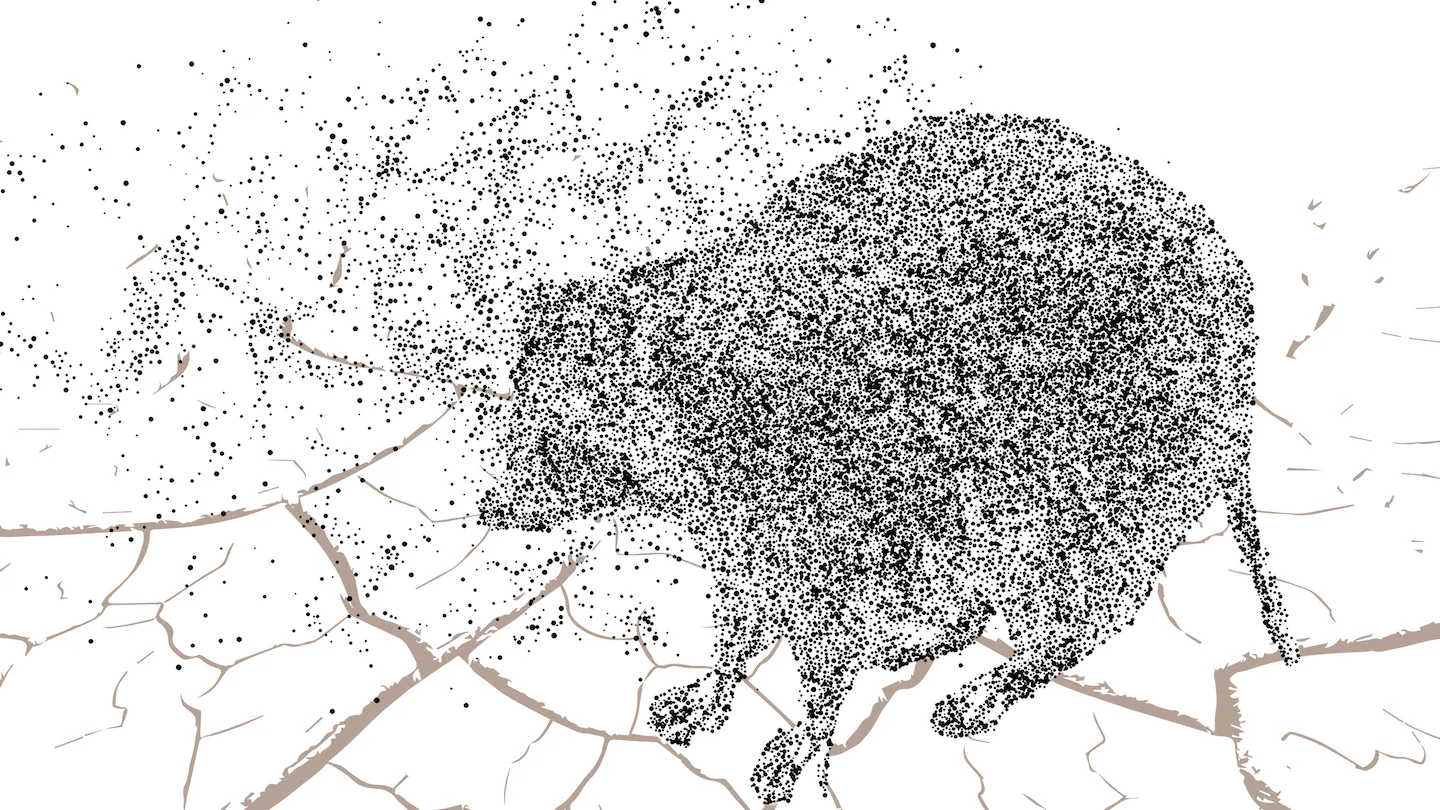 Dead raccoons, dry wells: the danger of Maine’s drought