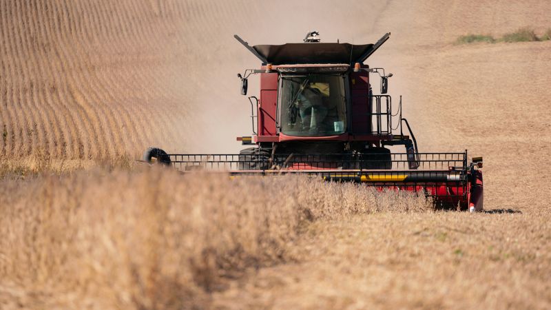 A ‘soybean farmer’ himself, Treasury Sec. Bessent said he’s feeling ‘pain’ from China, too