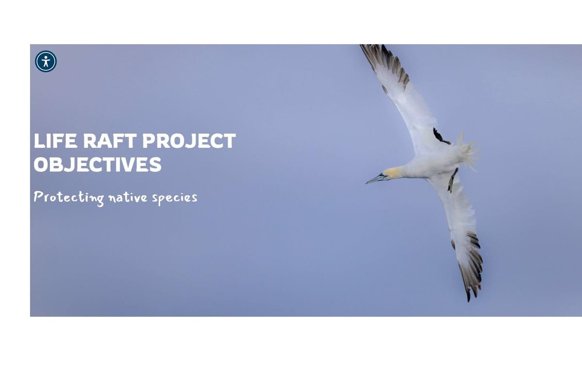 Causeway Coast & Glens Council welcomes £174k funding for Rathlin Life Raft Project