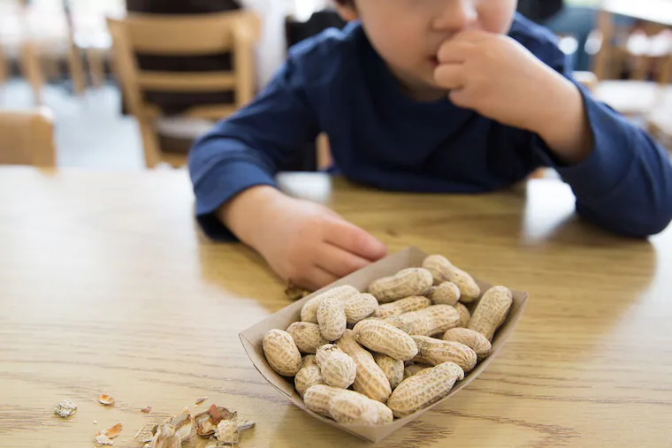 CHOP study finds peanut allergies declined in kids after updated guidance