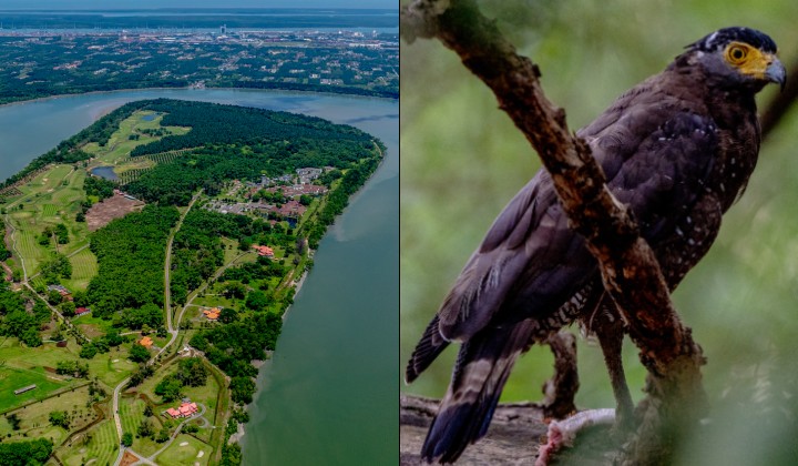 [Photos] Carey Island: Selangor’s Weekend Getaway That’s Been Hiding In Plain Sight