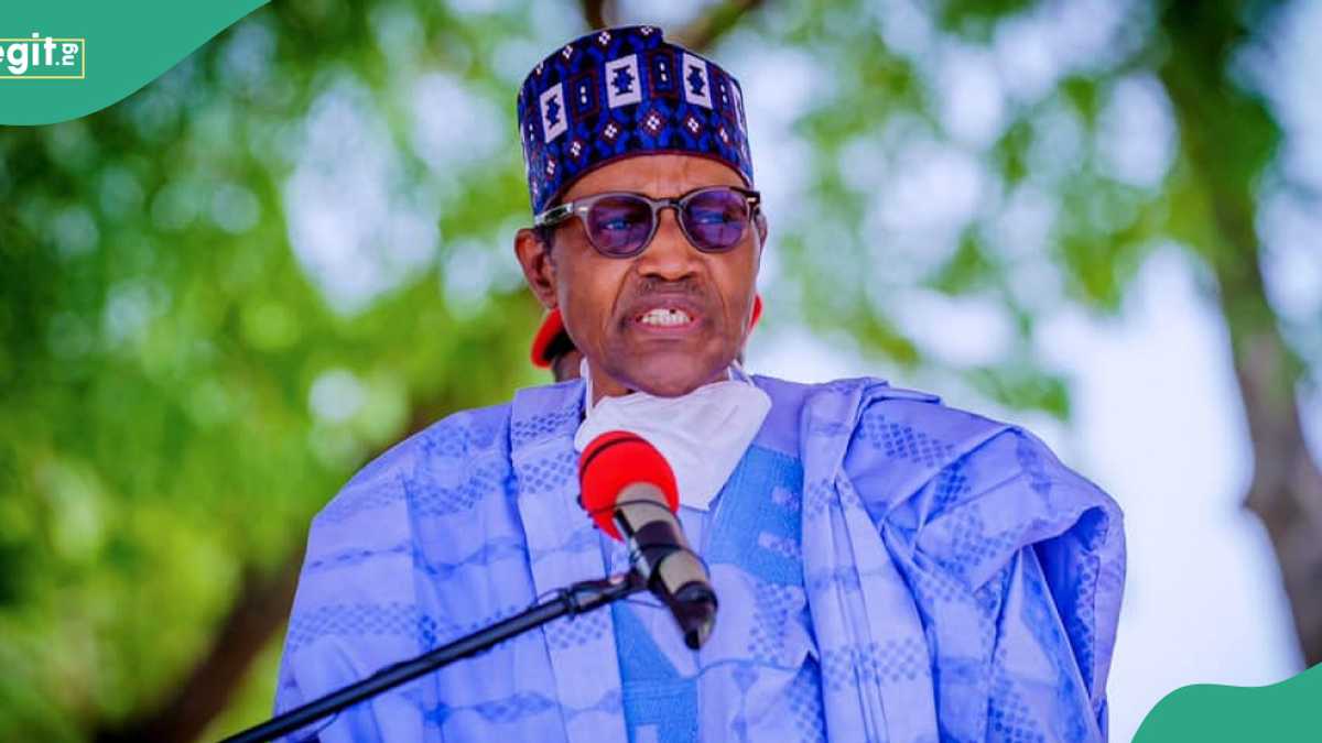 Northern governor claims Buhari’s praise singers ridiculed him after he left office
