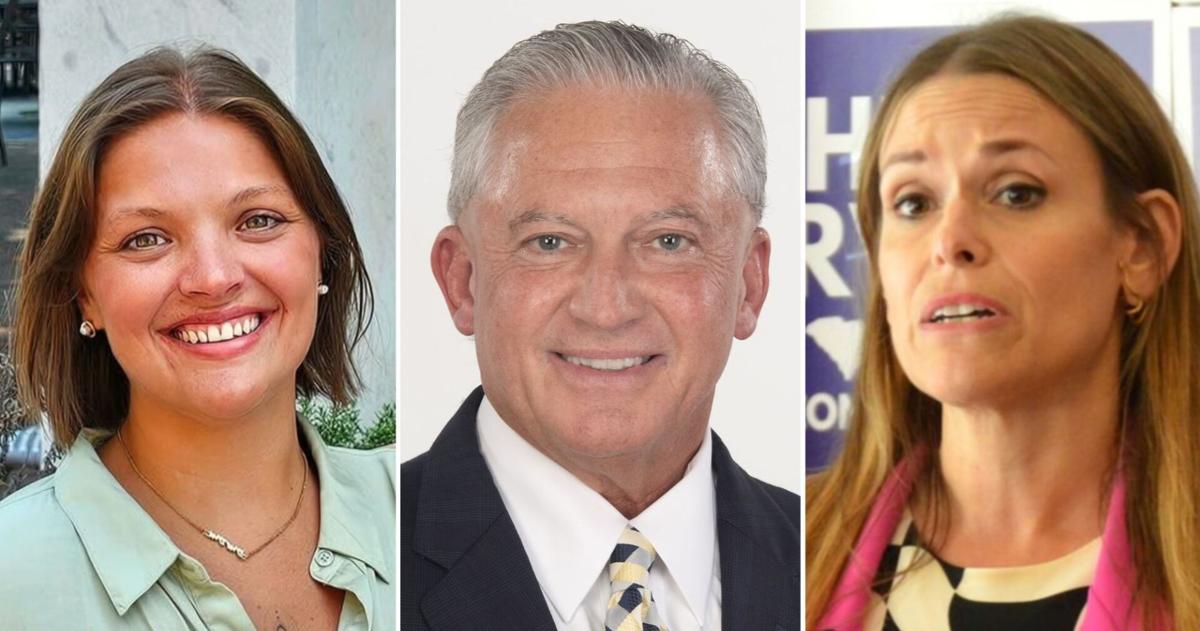 What to know for Spartanburg County Council District 3 race