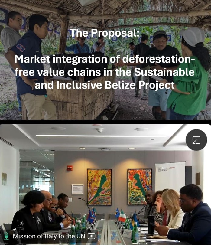 The Government of Belize Secures BZD$3 million Grant to Promote Sustainable and Deforestation-Free Agriculture