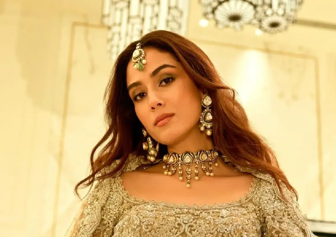 Mira Rajput Kapoor faces backlash over anti-firecracker post