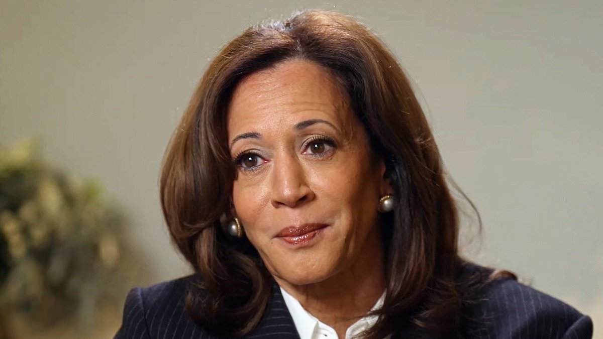 'Humiliated' Kamala Harris's excruciating reaction as she's told Dwayne 'The Rock' Johnson has a better chance of being president than her... as she hints at running again