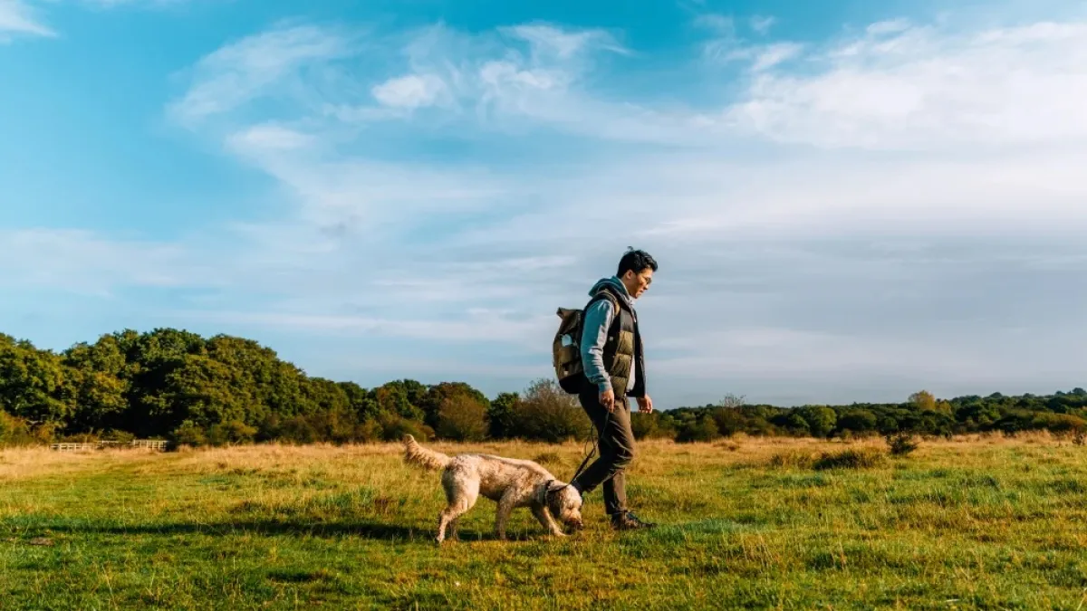 When it comes to walking, longer is better, study suggests