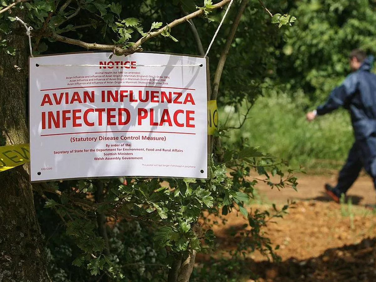 Bird flu outbreak sees Protection Zone in place and farm paths closed off on estate
