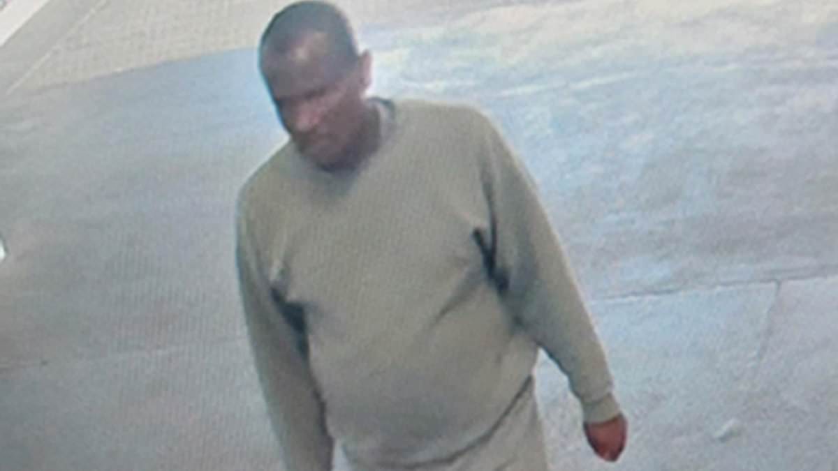 On-the-run sex attack migrant freed by mistake was last seen in north London on Friday night, police reveal - as David Lammy orders overhaul of prison release rules
