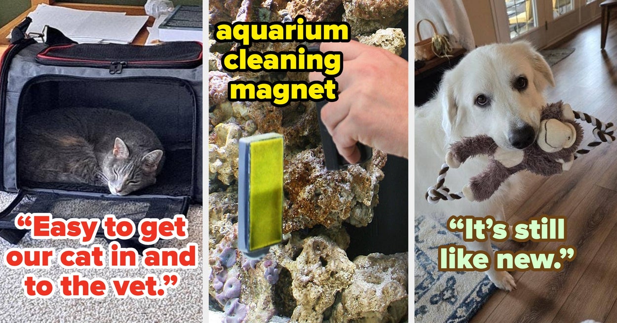 27 Highly-Reviewed Chewy Items Worth Buying