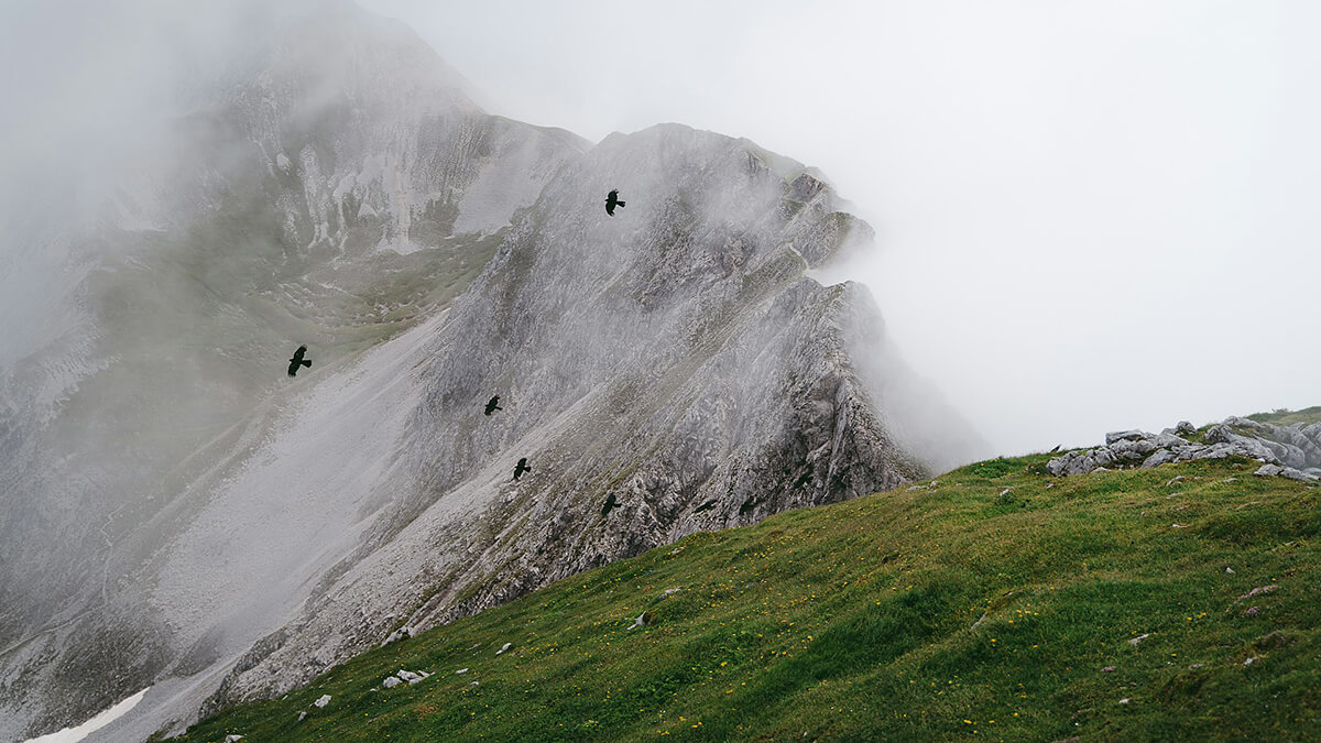 The AI Inflection Point Isn’t in the Cloud, It’s at the Edge