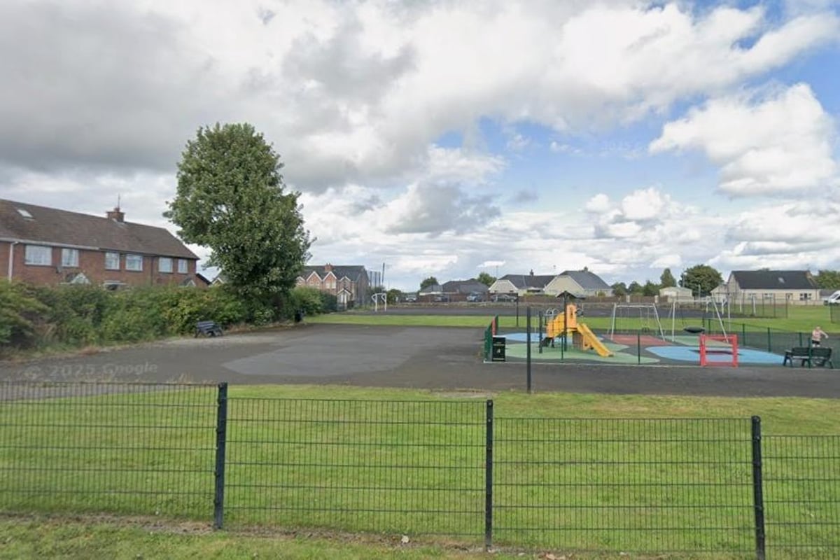 Mid Ulster council staff thanked for tackling invasive plants like Japanese Knotweed as examples are found at 38 council-owned sites