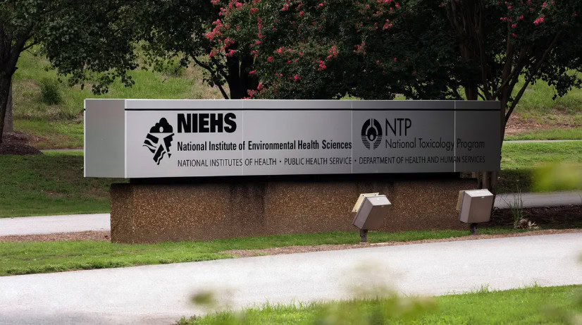 NIH Institute Director Abruptly Replaced