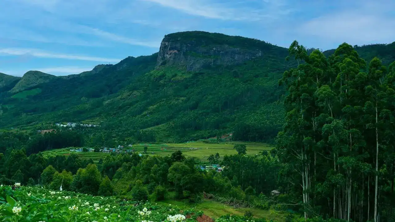 This Hidden Hill Station Is Called The 'Kashmir Of Kerala' And It’s Gorgeous In Winter!