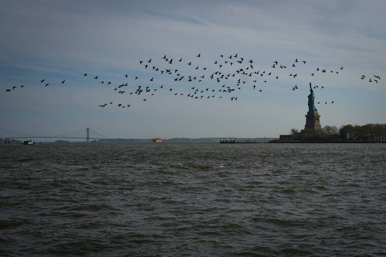 Vegas Advisor: Ellis Island expansion adds 35,000 square feet