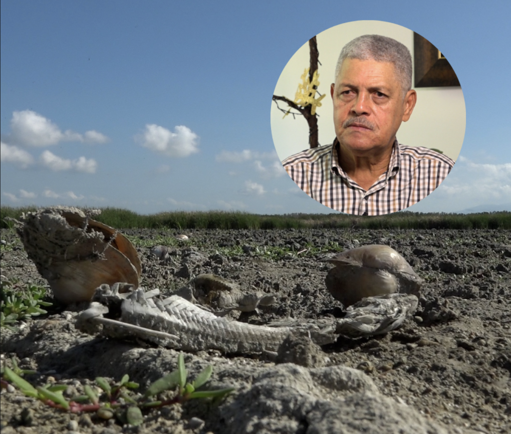 Sugar mill blamed for drying of the Laguna de Cabral in Barahona