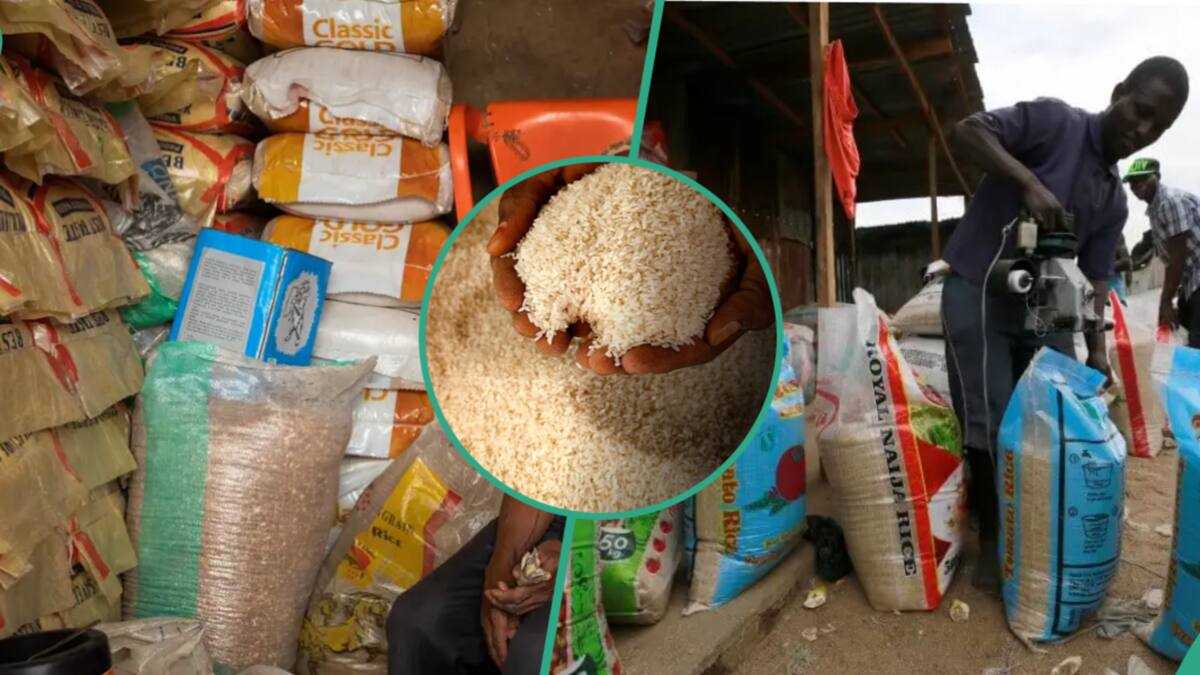 Good news for shoppers as rice becomes cheaper across markets