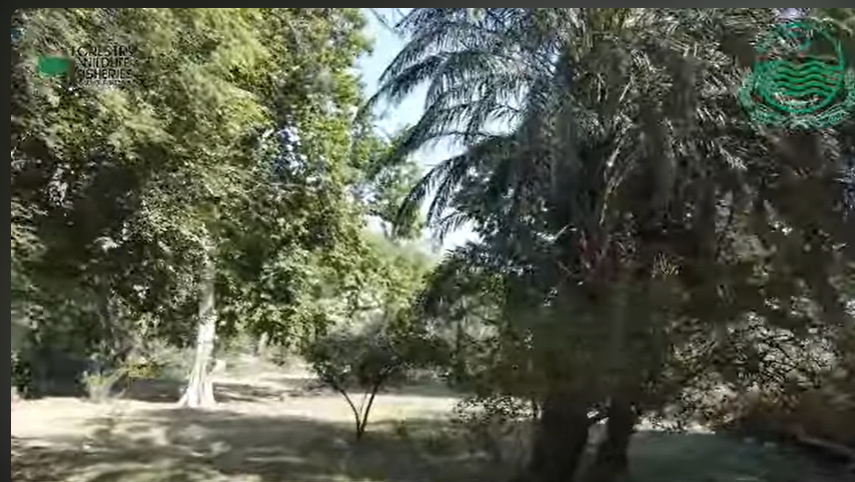 Renovation work on Narwari garden reviewed