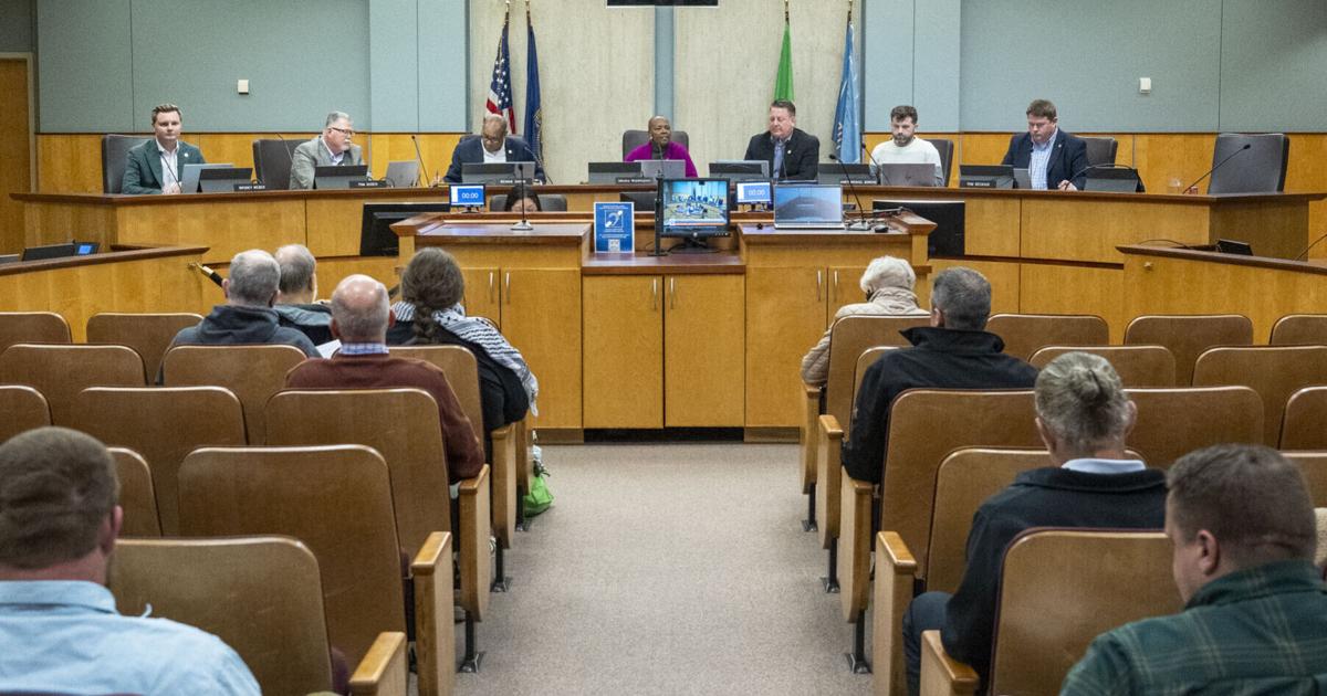 Lincoln City Council OKs new information services leader