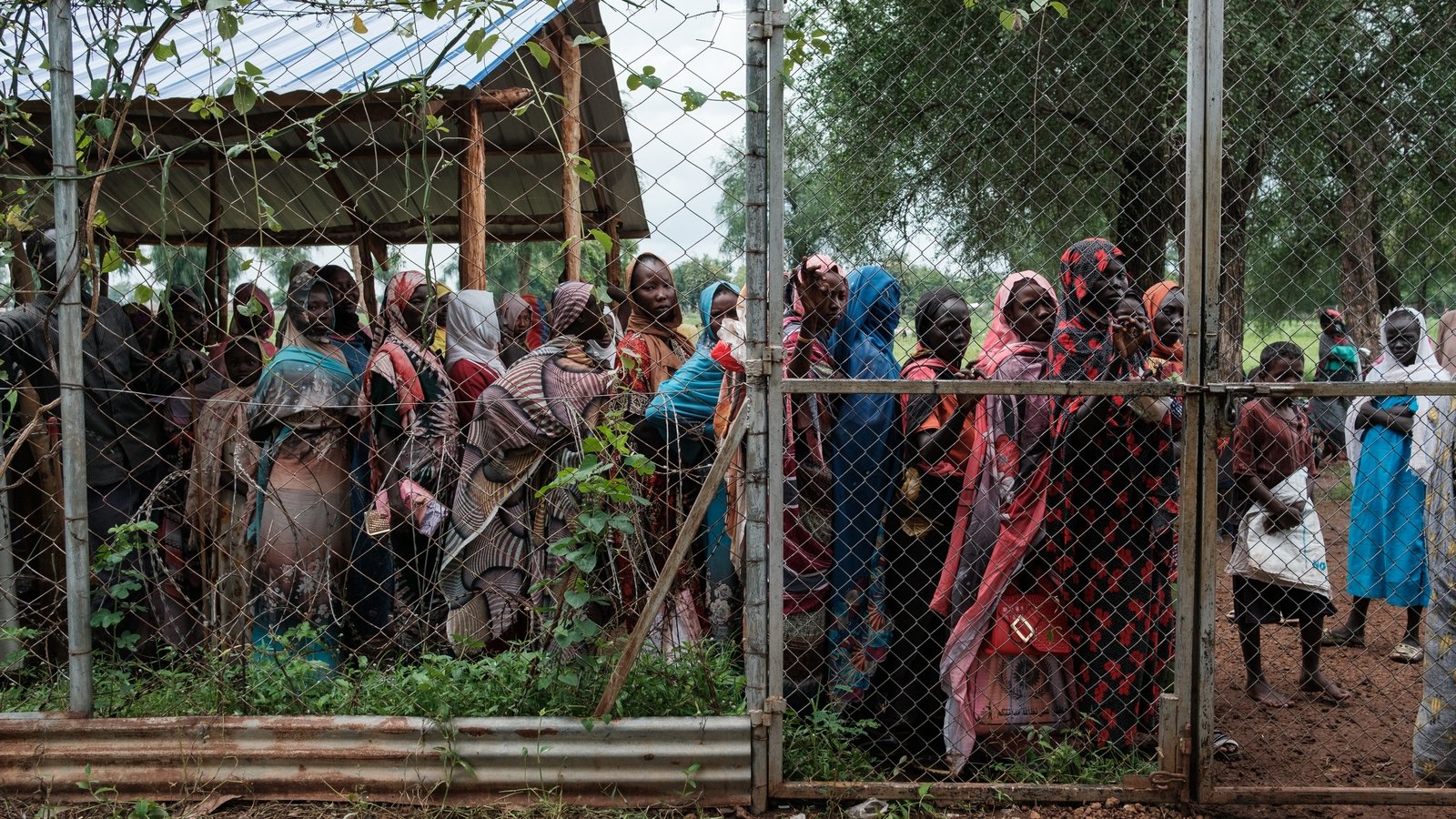 Agony and despair: the human toll of Sudan’s forgotten conflict